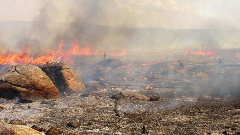 Perigo de queimadas na caatinga do semiárido aumenta em Ouricuri e região do Araripe