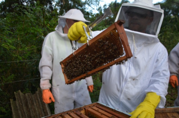 Núcleo de Pesquisa e Extensão em Abelhas do IF Ouricuri vai realizar Dia de Campo em Abelhas na Igreja dos Santos Reis, em Bodocó