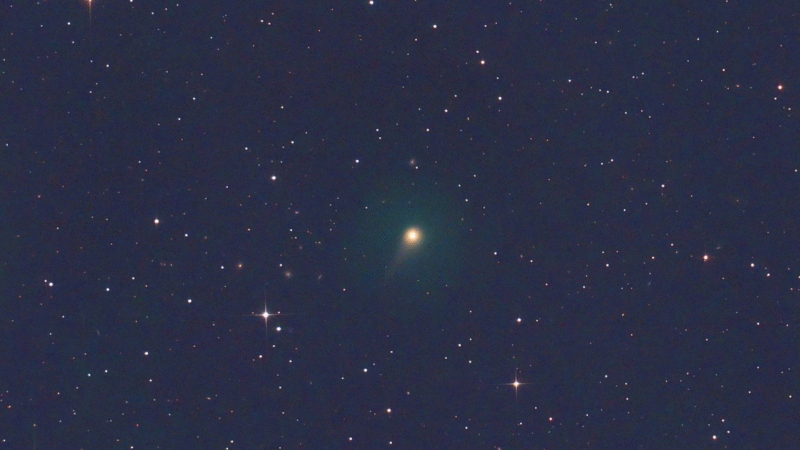 Cometa Lemmon se aproxima da Terra e pode ser visto a olho nu no Brasil