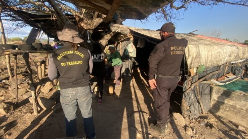 Catorze trabalhadores em situação análoga à escravidão são resgatados no Sertão de Pernambuco