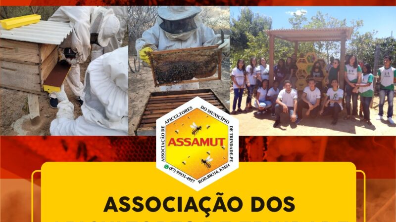 NUPEA do IF Ouricuri vai realizar dia de campo em abelhas em associação de Trindade