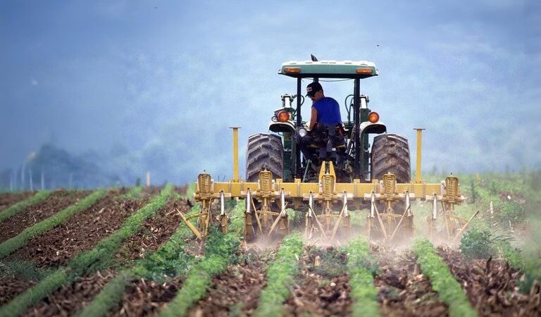 24 mil novas famílias de agricultores beneficiadas com o microcrédito