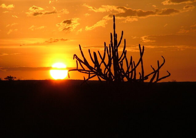 Verão começa oficialmente neste domingo, e fenômeno climático traz calor acima da média no Natal