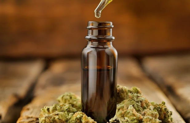 Anvisa aprova novas regras para cannabis medicinal no Brasil