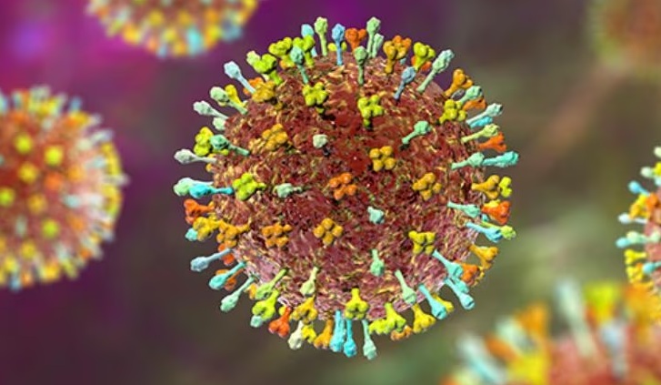 Nipah: saiba mais sobre o vírus que preocupa a Ásia