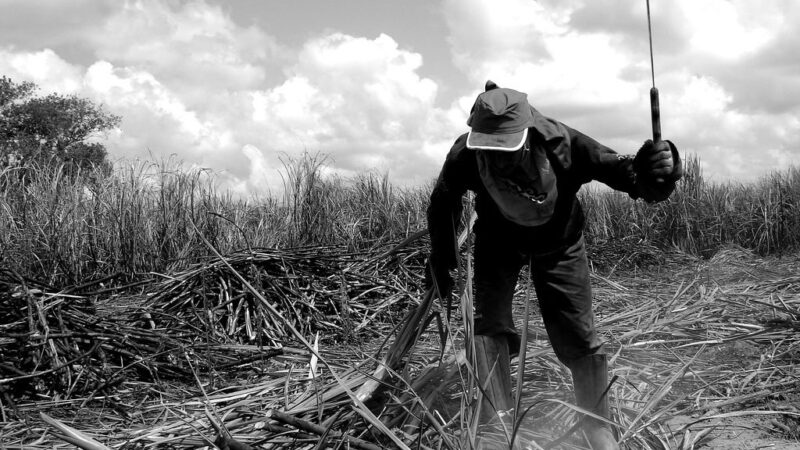 Trabalho escravo: só 4% dos réus recebem penas sobre todos os crimes