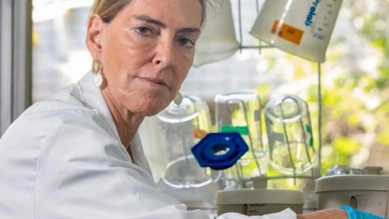 Inédito no mundo: Médica cientista brasileira faz 6 pacientes tetraplégicos andarem com descoberta de uma molécula