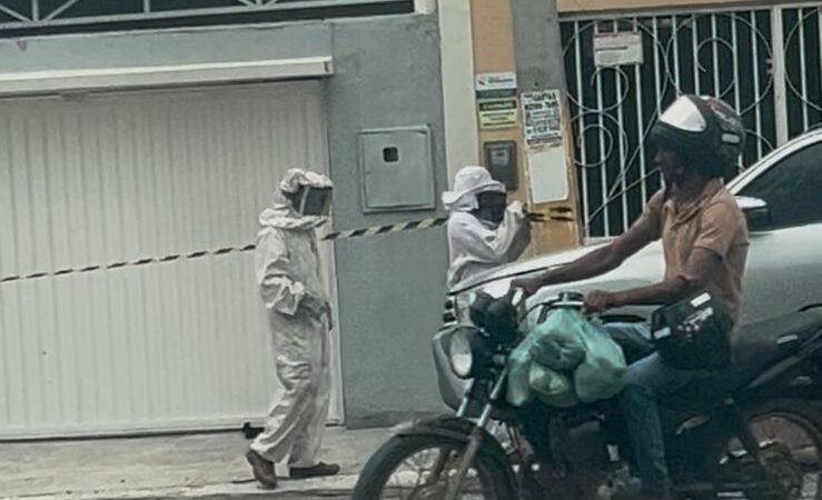 Enxame de abelhas provoca correria e assusta moradores no Centro de Ouricuri