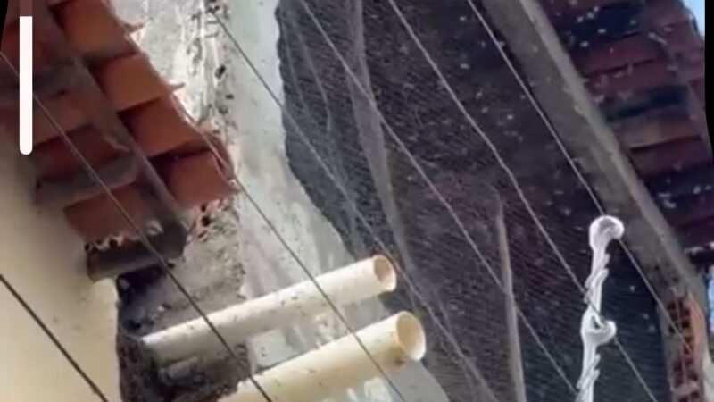 Abelhas voltam a atacar e causam preocupação no centro de Ouricuri