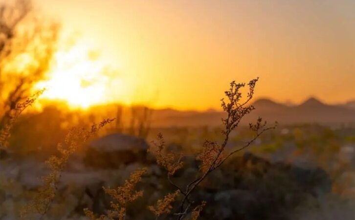 Apac prevê chuvas de normal a abaixo da média e calor acima da média em Pernambuco