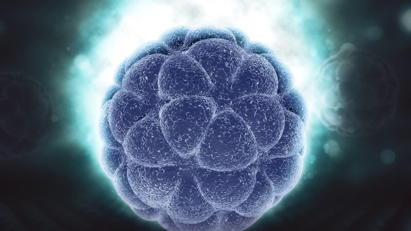 Cientistas testam molécula que reduz tumores do câncer sem afetar tecidos saudáveis