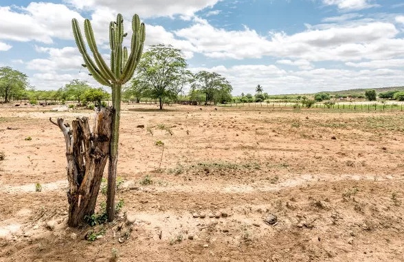 Ouricuri sedia oficina estadual para discutir estratégias contra mudanças climáticas