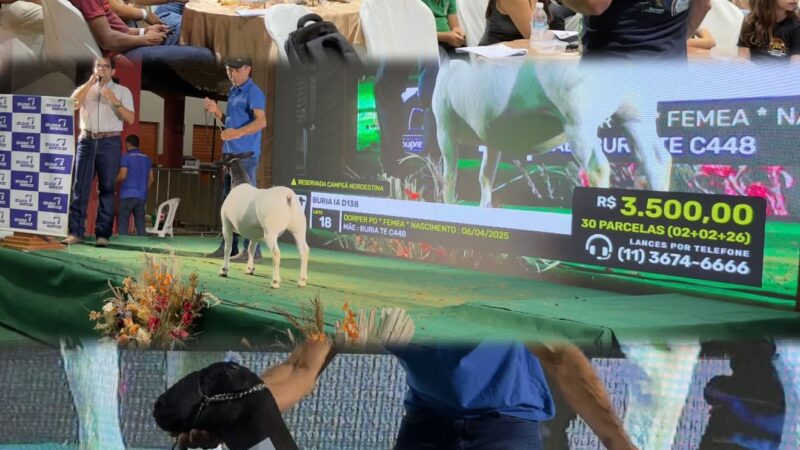 Dormentes (PE): Leilões virtuais da CAPRISHOW 2026 batem recorde e superam expectativas