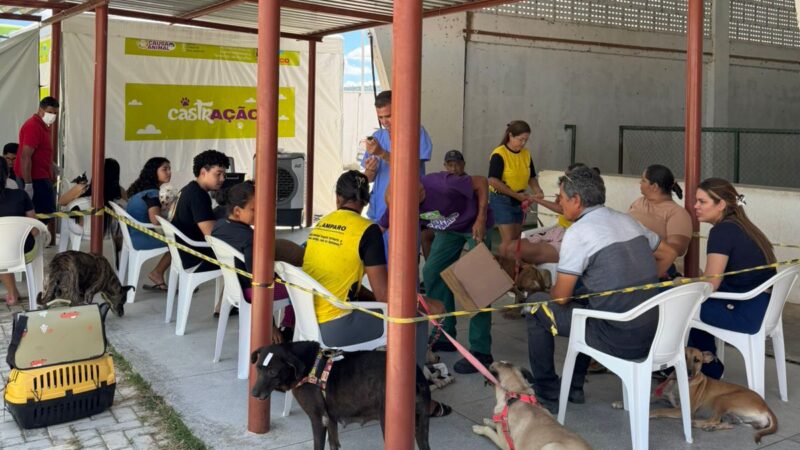 Mutirão de castração gratuita beneficia centenas de animais e marca avanço histórico na causa animal em Ouricuri