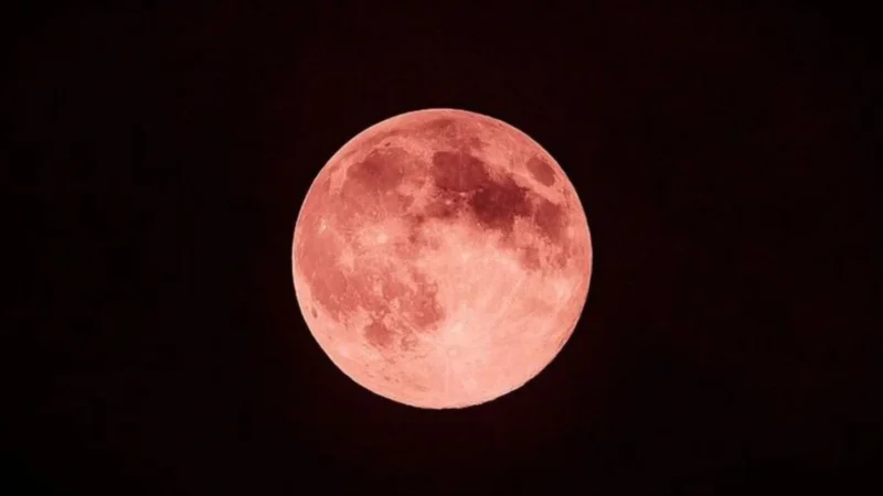 Saiba como e que horas ver a Lua de Morango nesta segunda