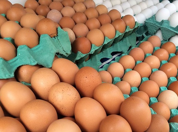 Consumo de ovos deve crescer 6% no Brasil e chegar a 307 por pessoa em 2026