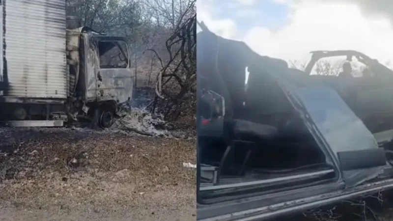 Acidente com van de pacientes de Petrolândia e caminhão deixa pelo menos 7 mortos na PE-360, no Sertão de PE